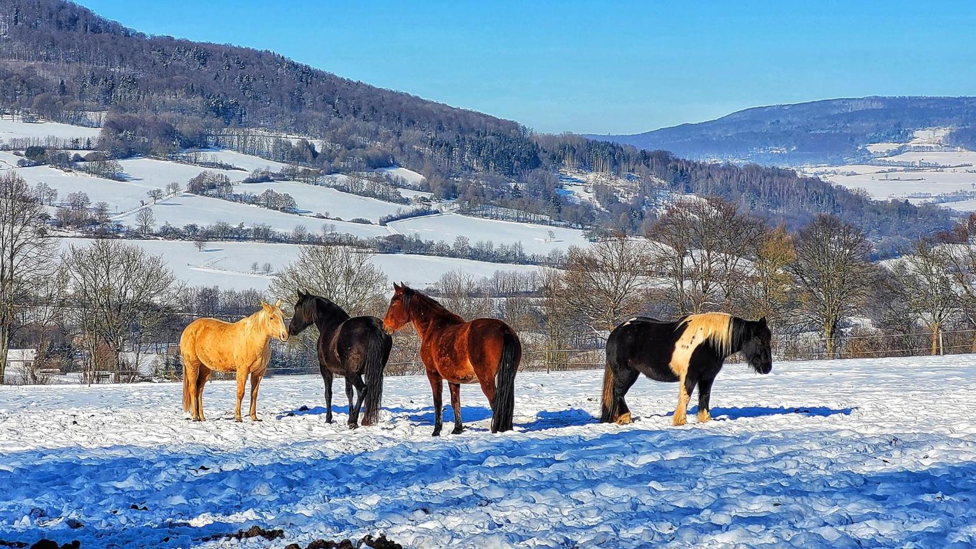 Ferienwohnung Am Felsenkeller Lahrbach Buitenkant foto